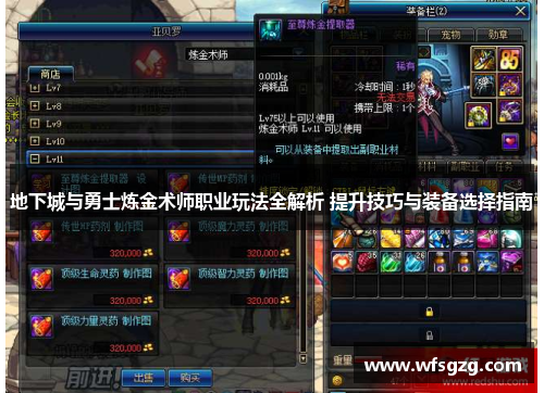 地下城与勇士炼金术师职业玩法全解析 提升技巧与装备选择指南
