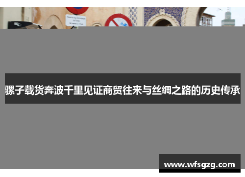 骡子载货奔波千里见证商贸往来与丝绸之路的历史传承